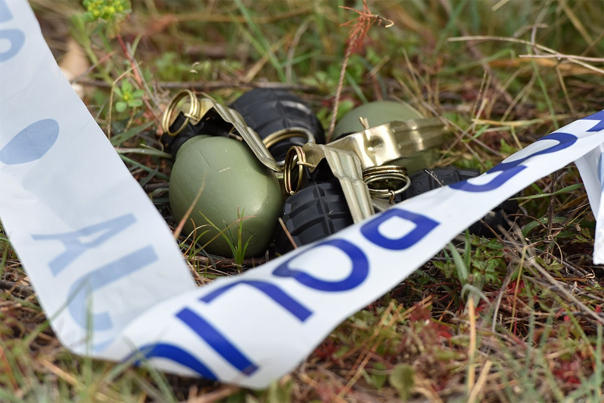 Pas iskopao tri ručne bombe