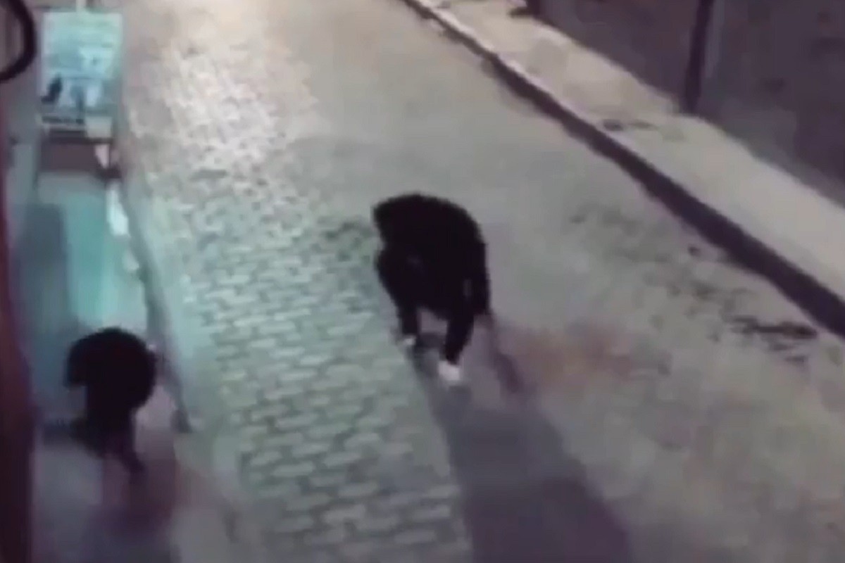 Probao udariti psa, pa dobio svoju "medicinu" (VIDEO)