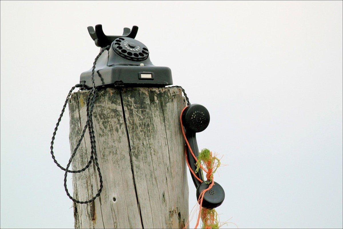 Vic dana: Drveni telefon