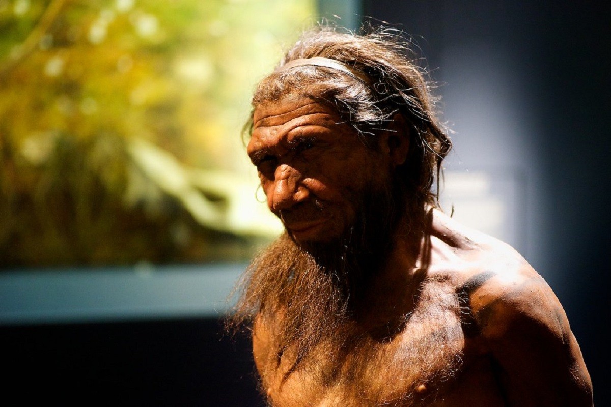 Šta je istrebilo neandertalce - nasilje ili seks