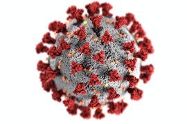 U Beogradu potvrđen virus gripa tipa B