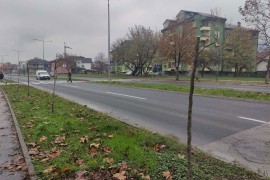 Polomljeno 40 mladih sadnica na Istočnom tranzitu