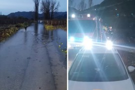 Auto završio u vodi, ženu pronašli na stablu (FOTO)