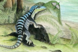 Neobični dinosaurus iz Antarktika