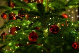 Uhapšena u krađi poklona ispod jelke u stanu Roberta De Nira