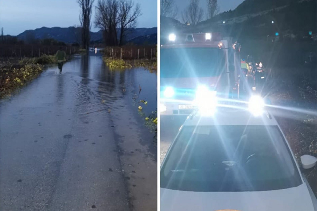Auto završio u vodi, ženu pronašli na stablu (FOTO)