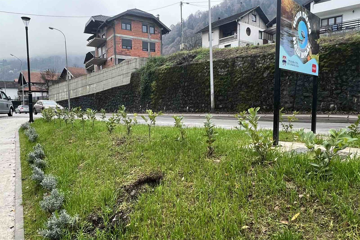 Počupane sadnice na novoj gradskoj plaži u Banjaluci
