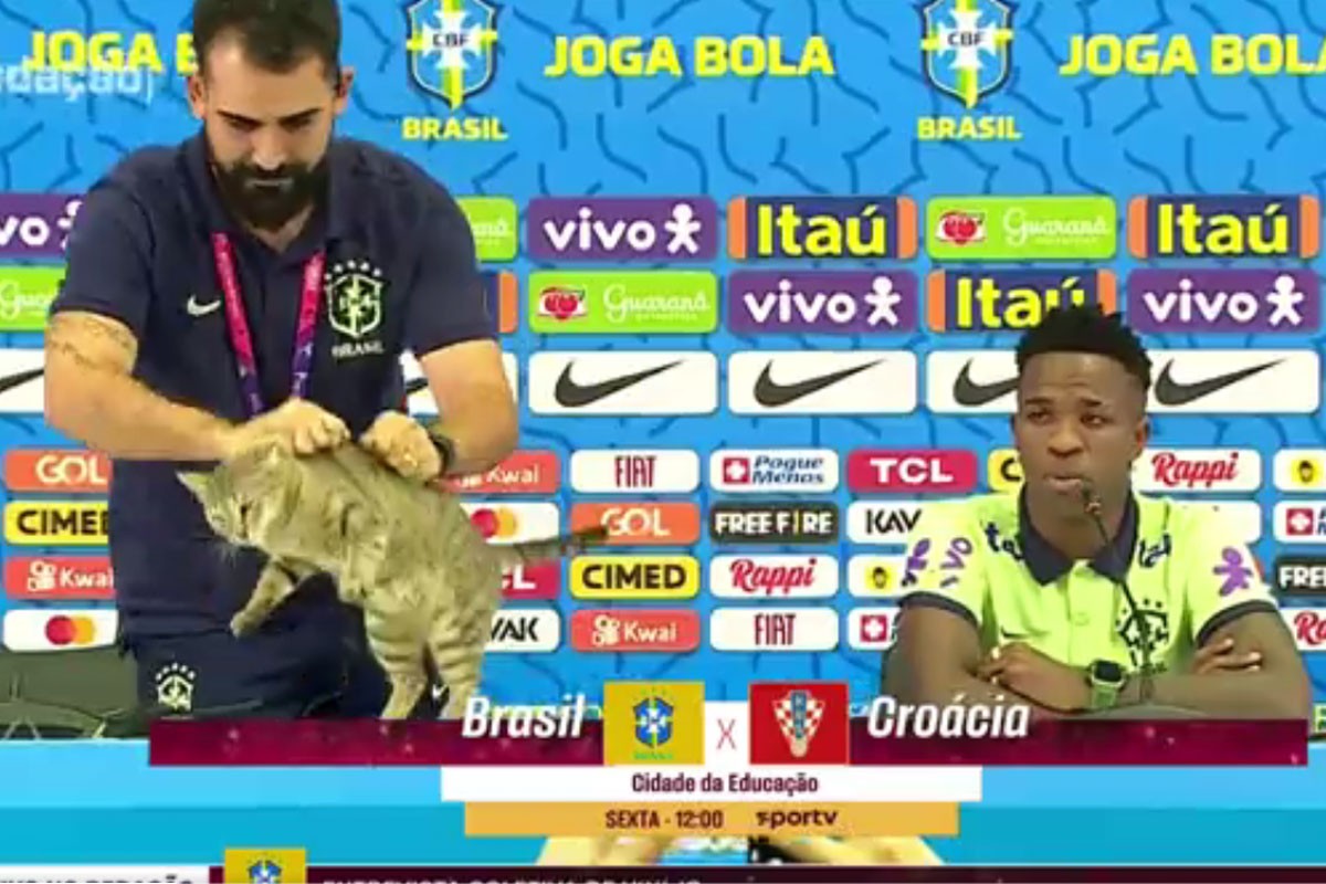 Mačka prekinula konferenciju Brazila, portparol je bacio sa stola i šokirao javnost