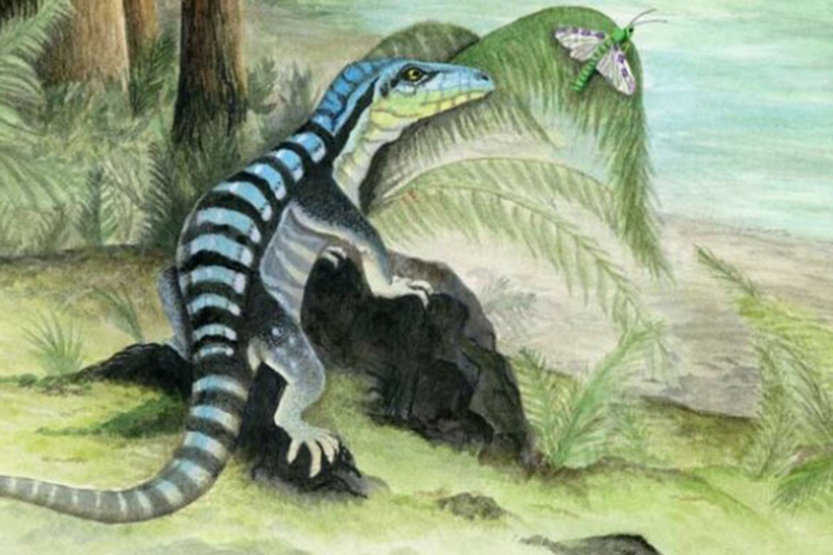Neobični dinosaurus iz Antarktika