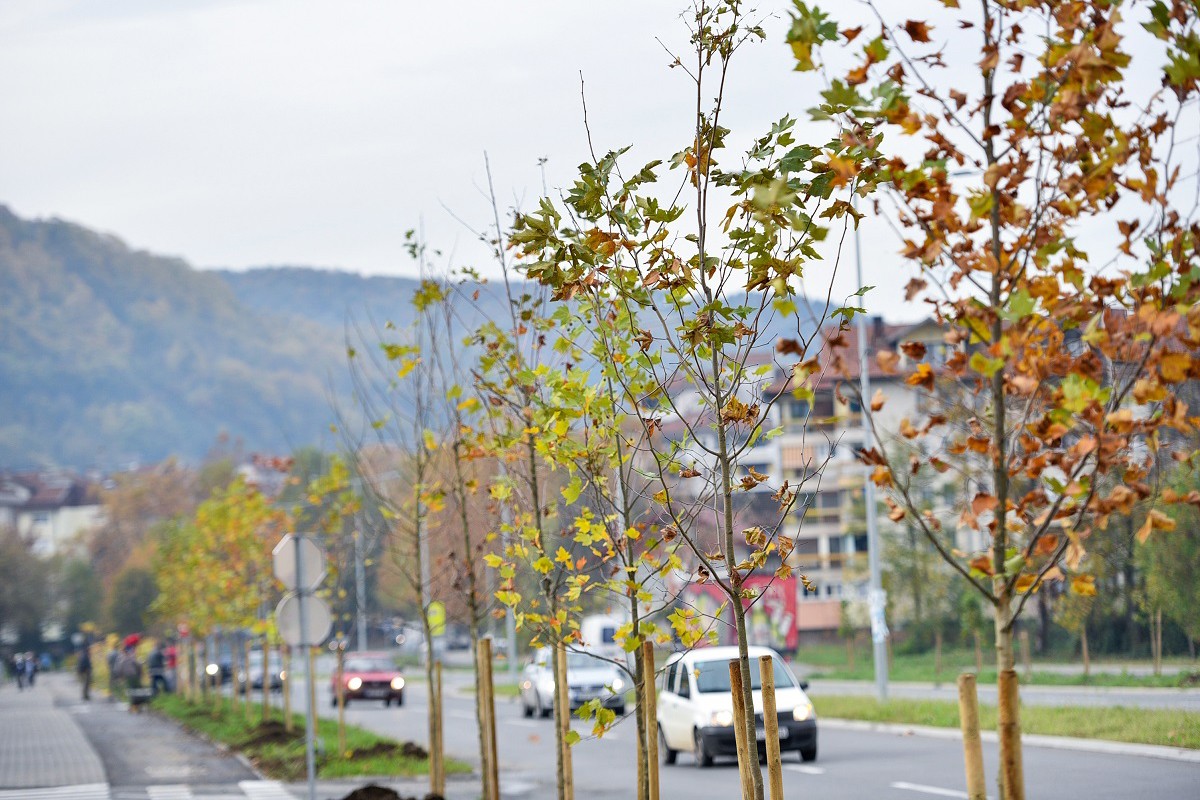 Banjaluka bogatija za nove sadnice