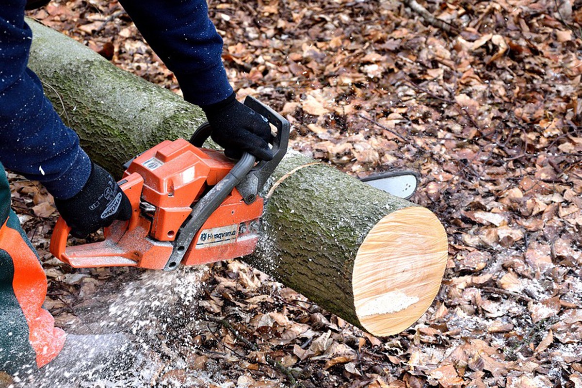 Šumari u štrajku zbog plate i regresa