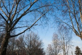 U BiH danas sunčano, temperatura do 21 stepen