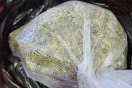 Uhapšen sa kilogramom i 135 paketića marihuane