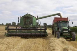 Četiri puta veći uvoz prehrambene i agroindustrije