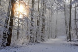 Snijeg pada u svim krajevima Hrvatske