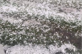 U Budvi pao grad veličine lješnika