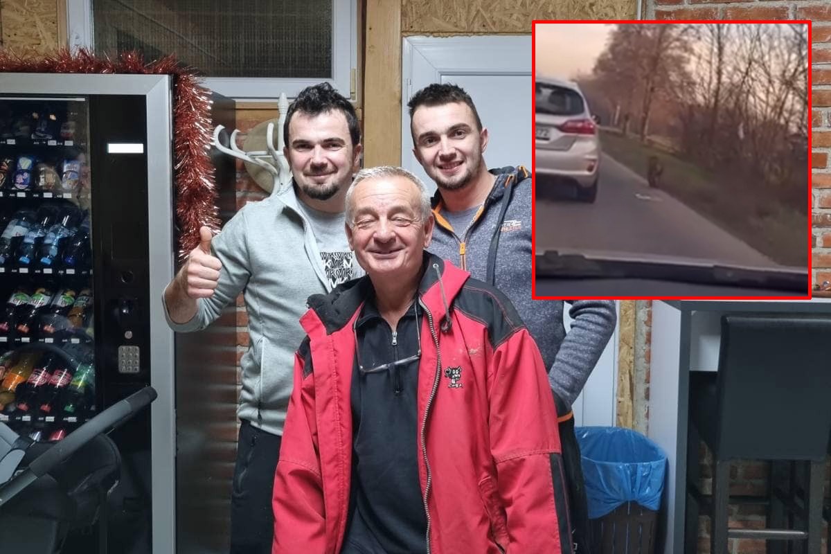 Majmuna koji je lutao između Banjaluke i Prijedora vratili kući