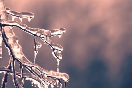Rekordnih minus 20,1 stepen Celzijusa u Crnoj Gori