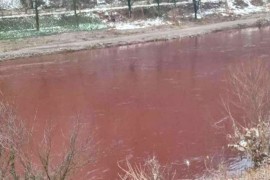 Arserol Mittal: Crvena mrlja u rijeci Bosni nije naštetila biljnom i ...