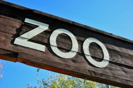 Optužen da je ubio životinje iz zoo-vrta i poslužio ih za Novu godinu