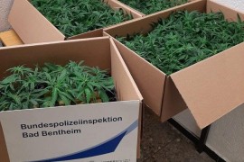 Njemačka policija u šoku nakon pretresa automobila 77-godišnjeg ...
