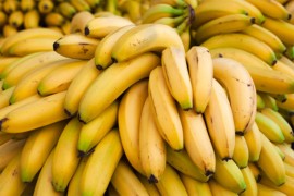 Kokain vrijedan 330 miliona dolara nađen među bananama