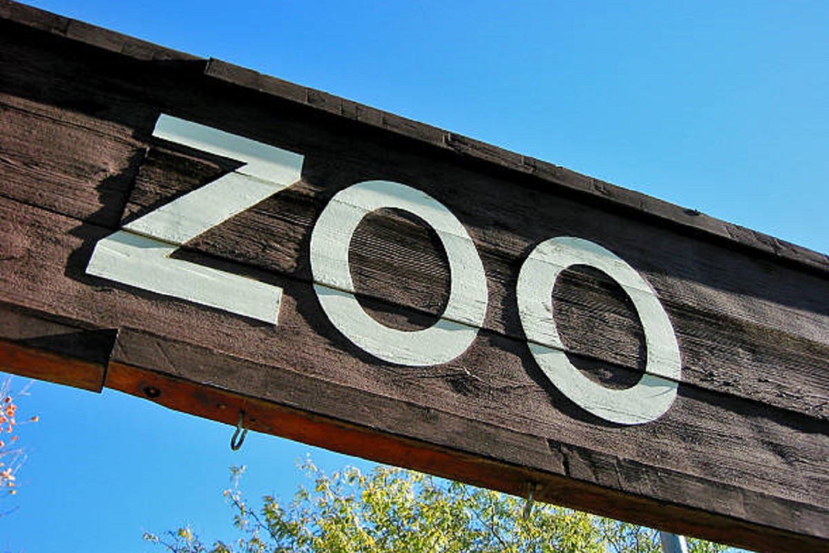 Optužen da je ubio životinje iz zoo-vrta i poslužio ih za Novu godinu