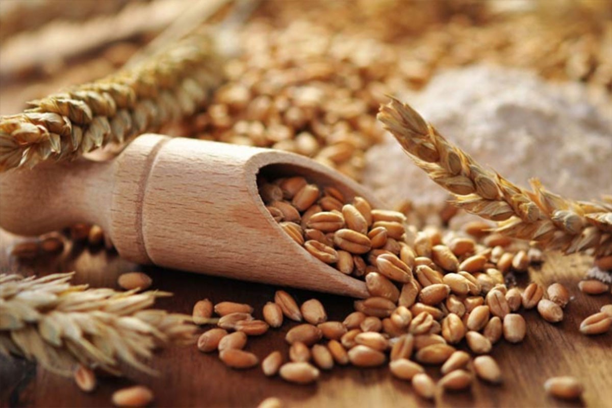 Treba li pšenicu prije kuvanja držati u vodi preko noći
