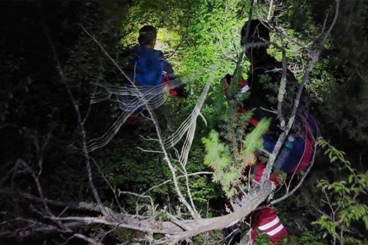 Nestala djevojčica (14): Mještani, GSS, policija i lovci češljaju teren