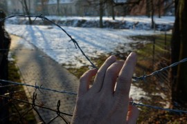 Državljani BiH pokušali krijumčariti ljude