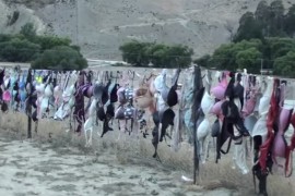 Novozelanđani imaju ogradu od ženskog veša (VIDEO)