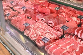 Danas kreće prvi kontingent goveđeg mesa za Tursku