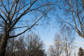 Danas do 23 stepena, poslije podne naoblačenje