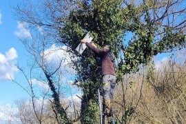 Video-nadzor lovi krivolovce na Sani