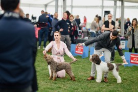 Spektakl za ljubitelje pasa: Održana manifestacija "BL Dog Show 2023"