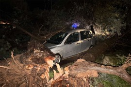 Nevrijeme u Rovinju i Poreču čupalo stabla, voda ušla u kuće
