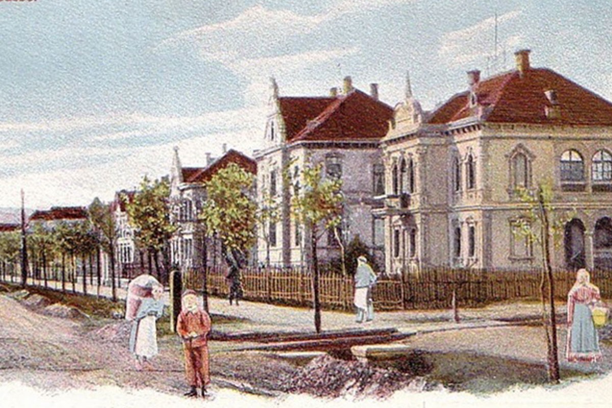 Banjalučki drvoredi imaju svoju istoriju