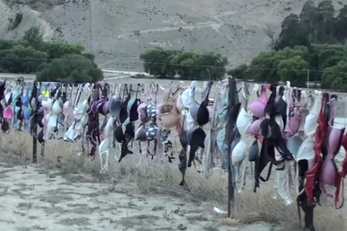 Novozelanđani imaju ogradu od ženskog veša (VIDEO)