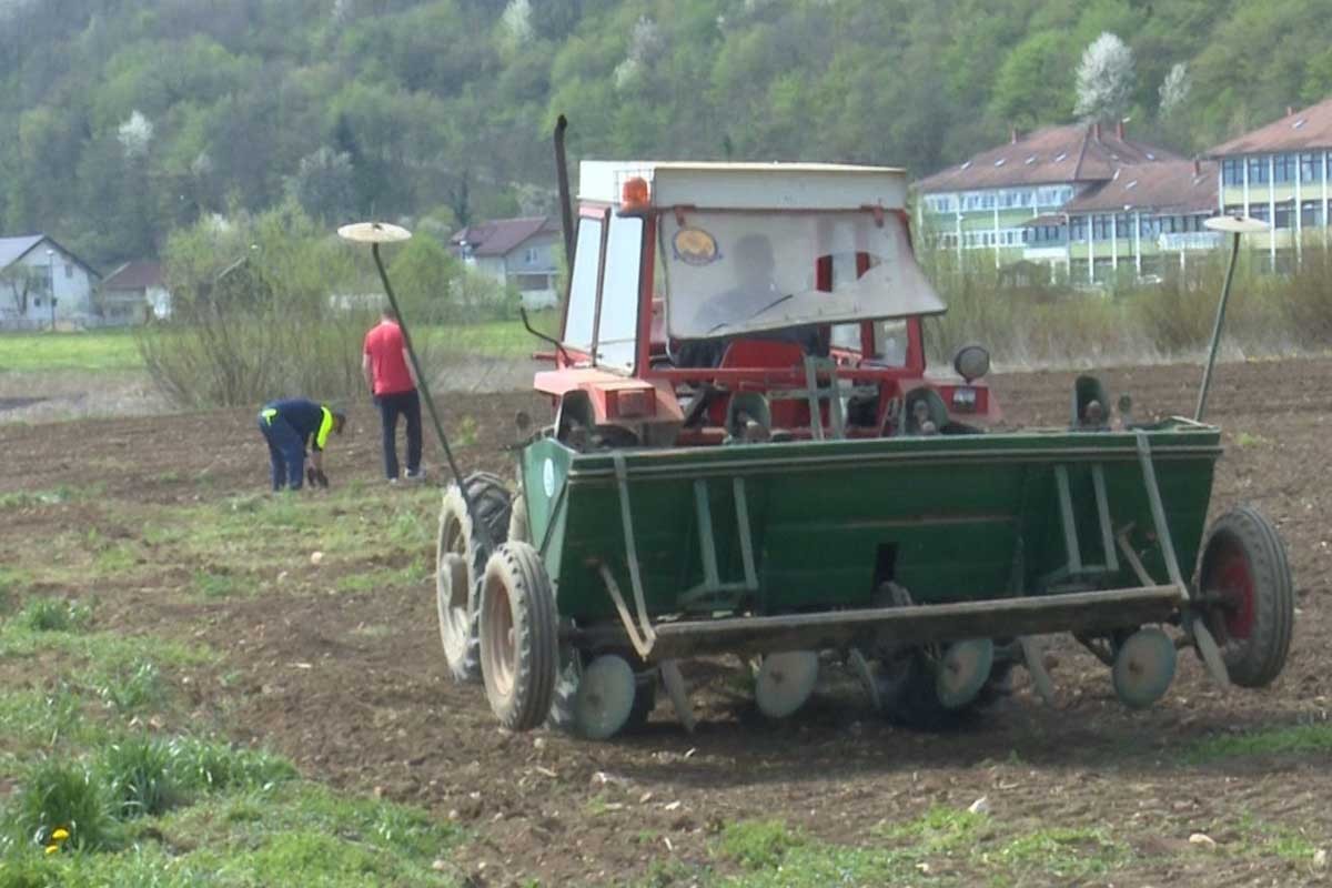 Smanjenje sjetvenih površina pali alarm