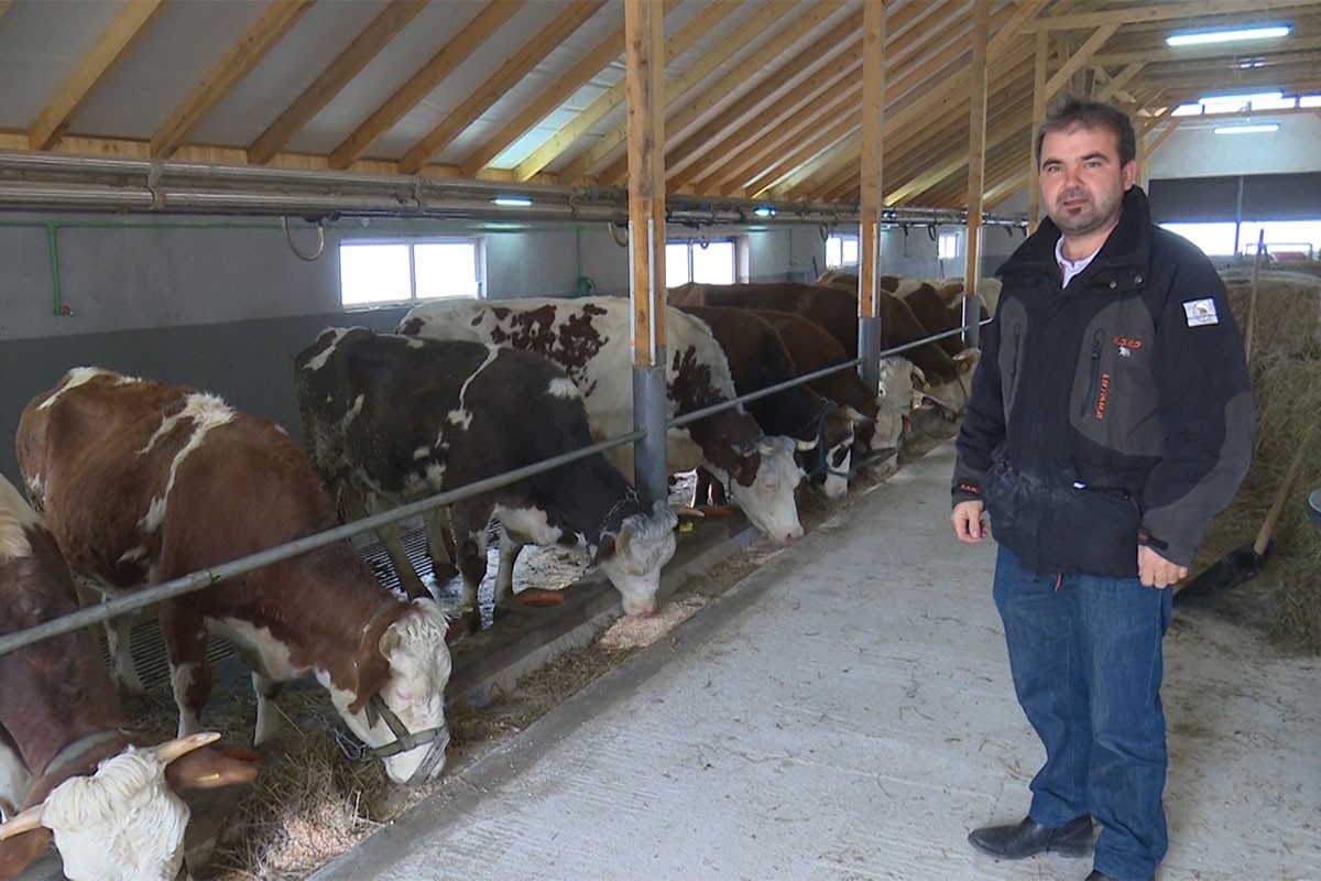 Farmeri traže veće otkupne cijene za mlijeko