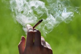 Američki prevoznici marihuane dobijaju otkaze jer koriste kanabis