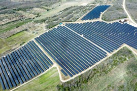 Otvorena najveća solarna elektrana u Srbiji