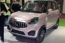 Samo u Kini: Salon automobila na kome se izlažu kopije drugih modela