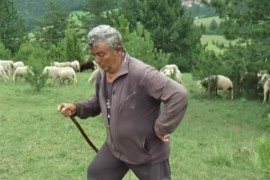 Pastir čuvajući ovce zaradi kao predsjednik opštine