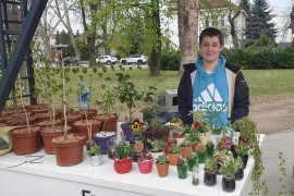 Vuk Mandić (13) iz Banjaluke hobi pretvorio u biznis: Biljke vraćaju ...
