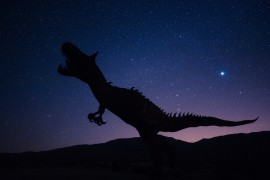 Skelet Ti-reksa na aukciji: Mogao bi dosegnuti nevjerovatnu cijenu