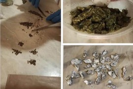 Pas tragač u dvorištu Dobojlije nanjušio drogu