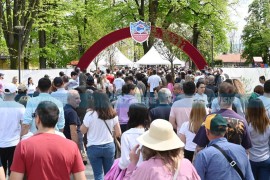 Ogromne gužve na ulazu u kompleks turnira Srpska open (VIDEO)