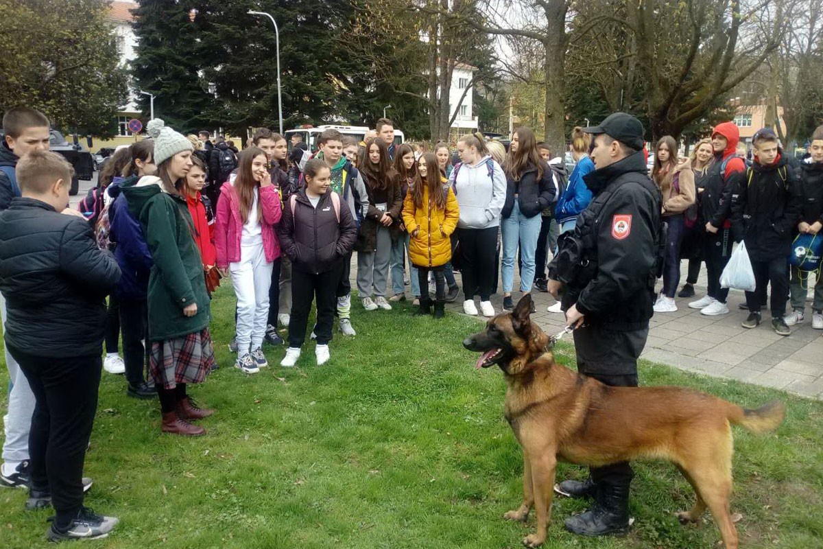 Zbor u Doboju: Koko i Maks ukrali šou