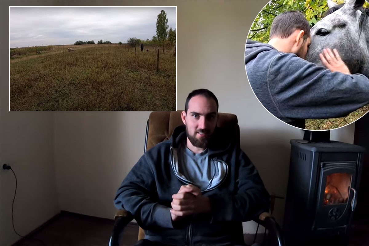 Napustio Ameriku i preselio na salaš u Srbiji da čuva ovce (VIDEO)